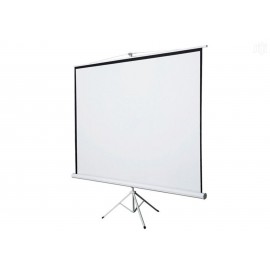 PROJECTOR SCREEN 200cm X 200cm TRIPOD