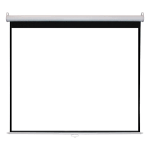 Projector Screen Manual 243 x 243